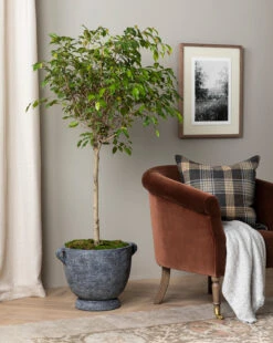 Esma Gray Fringed Throw 11 Esma Gray Fringed Throw -Bloomingville Shop 20230608 SS FallCatalogue 006 T