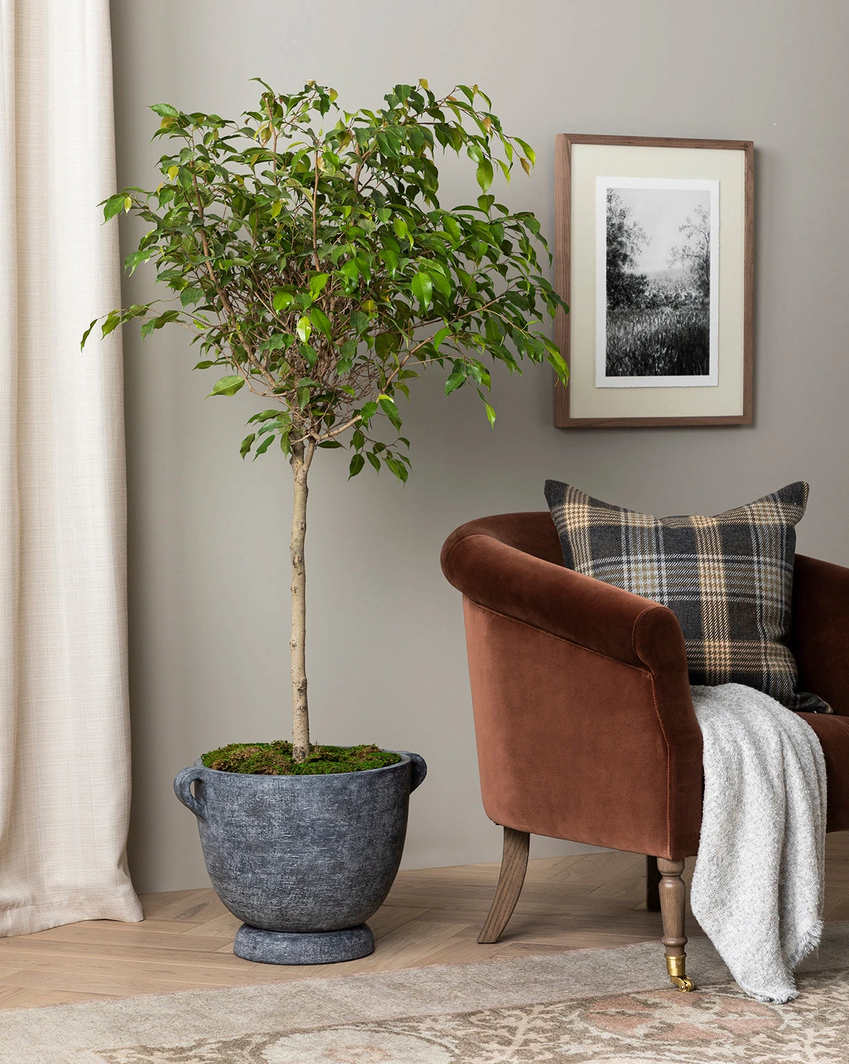 Esma Gray Fringed Throw 6 Esma Gray Fringed Throw - Image 4