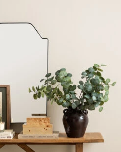 Burl Wood Box -Bloomingville Shop 20231205 SS Decor Greenery 015 T