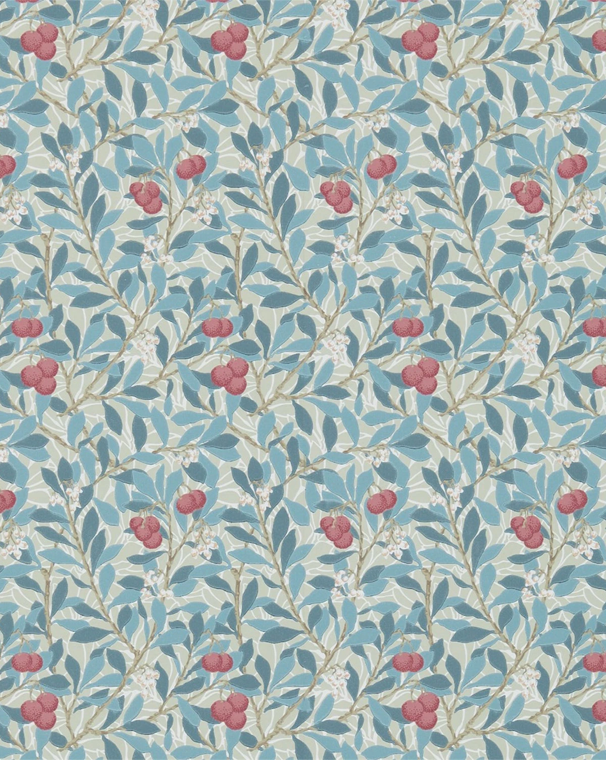 Arbutus Wallpaper 3 Arbutus Wallpaper