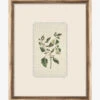 Delicate Floral Lll 1 Delicate Floral Lll -Bloomingville Shop DelicateFloralIIl MART1704 GRN 16x20 F MAIN T