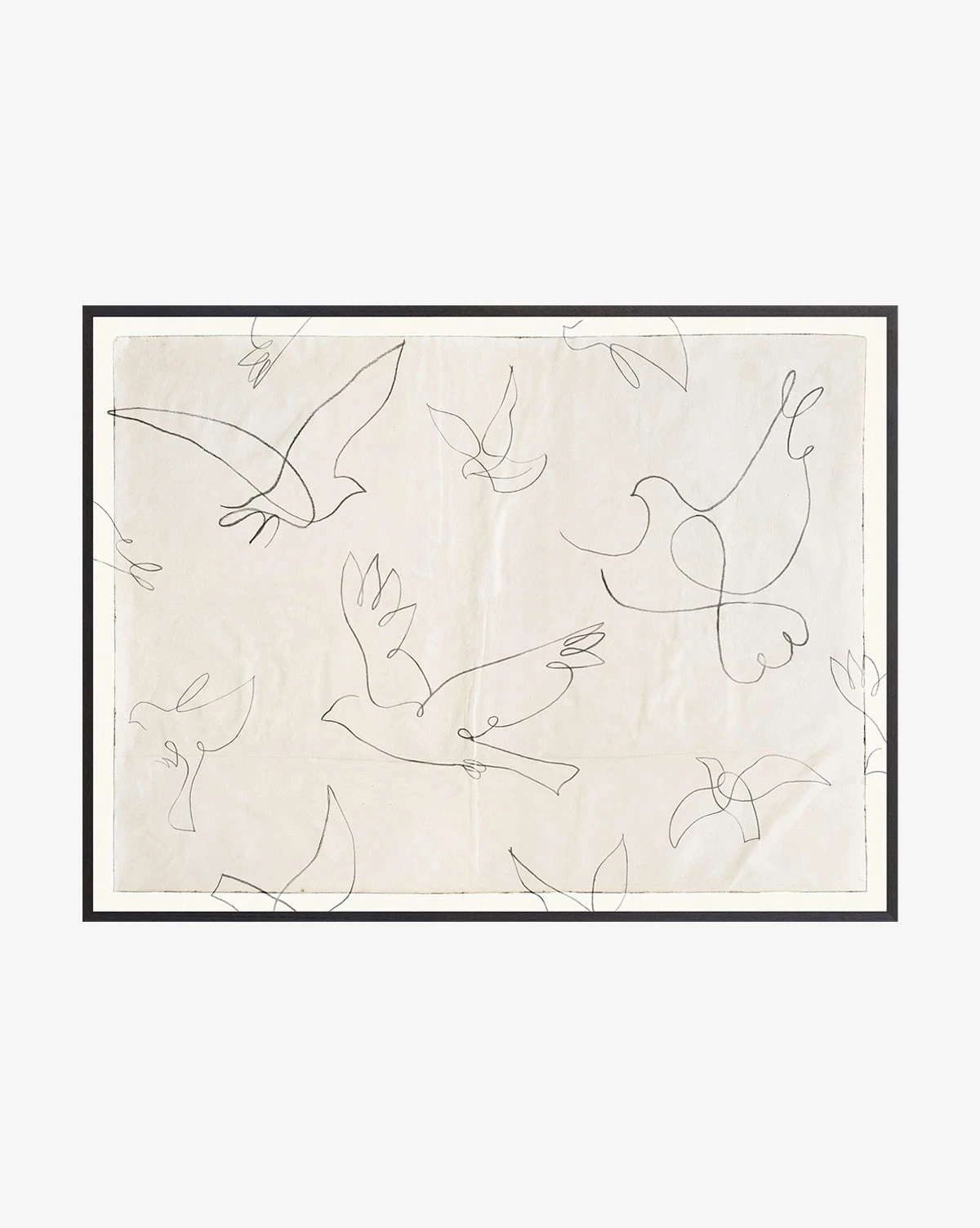 Dove Doodle 3 Dove Doodle