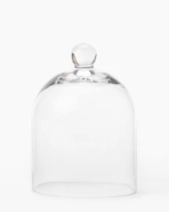 Glass Cloche