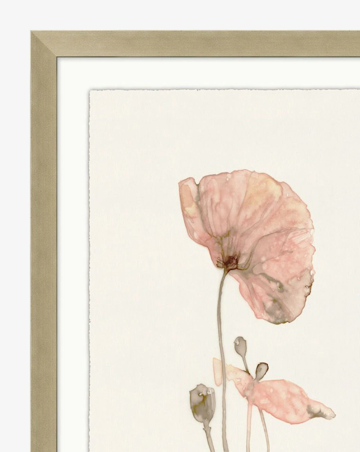 Pink Blooming Flowers 4 Pink Blooming Flowers - Image 2