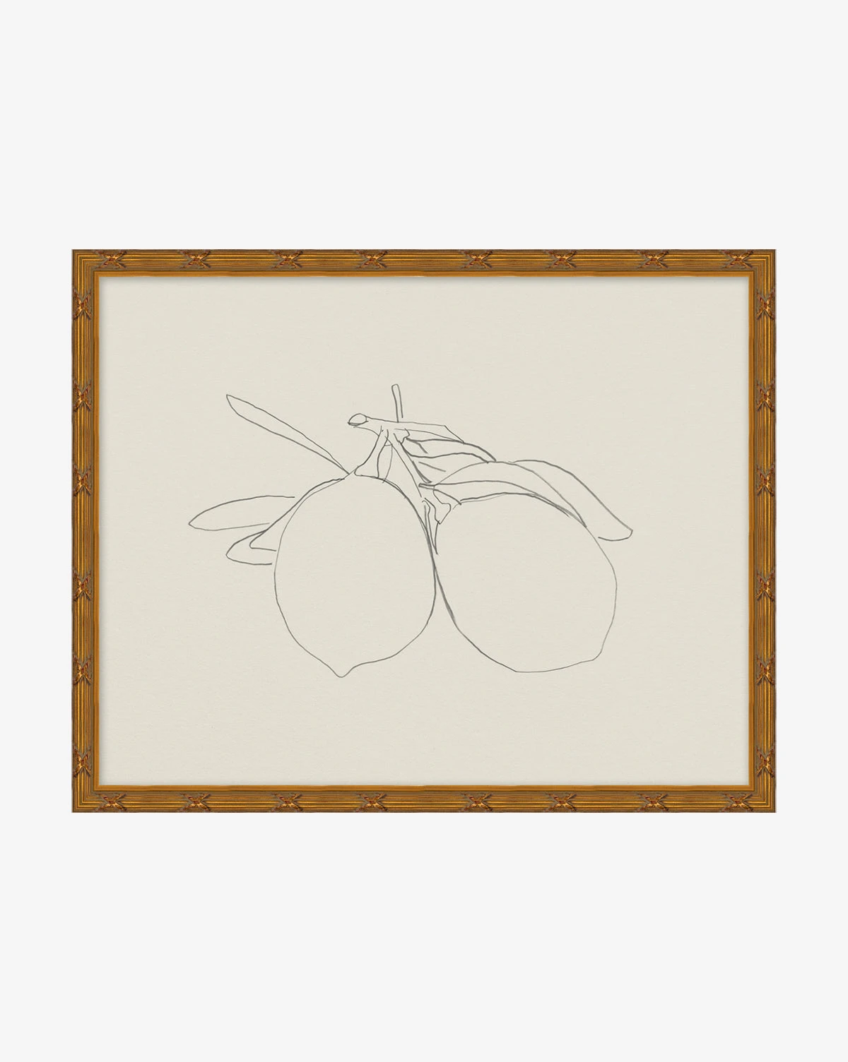Sketched Fruit I 3 Sketched Fruit I