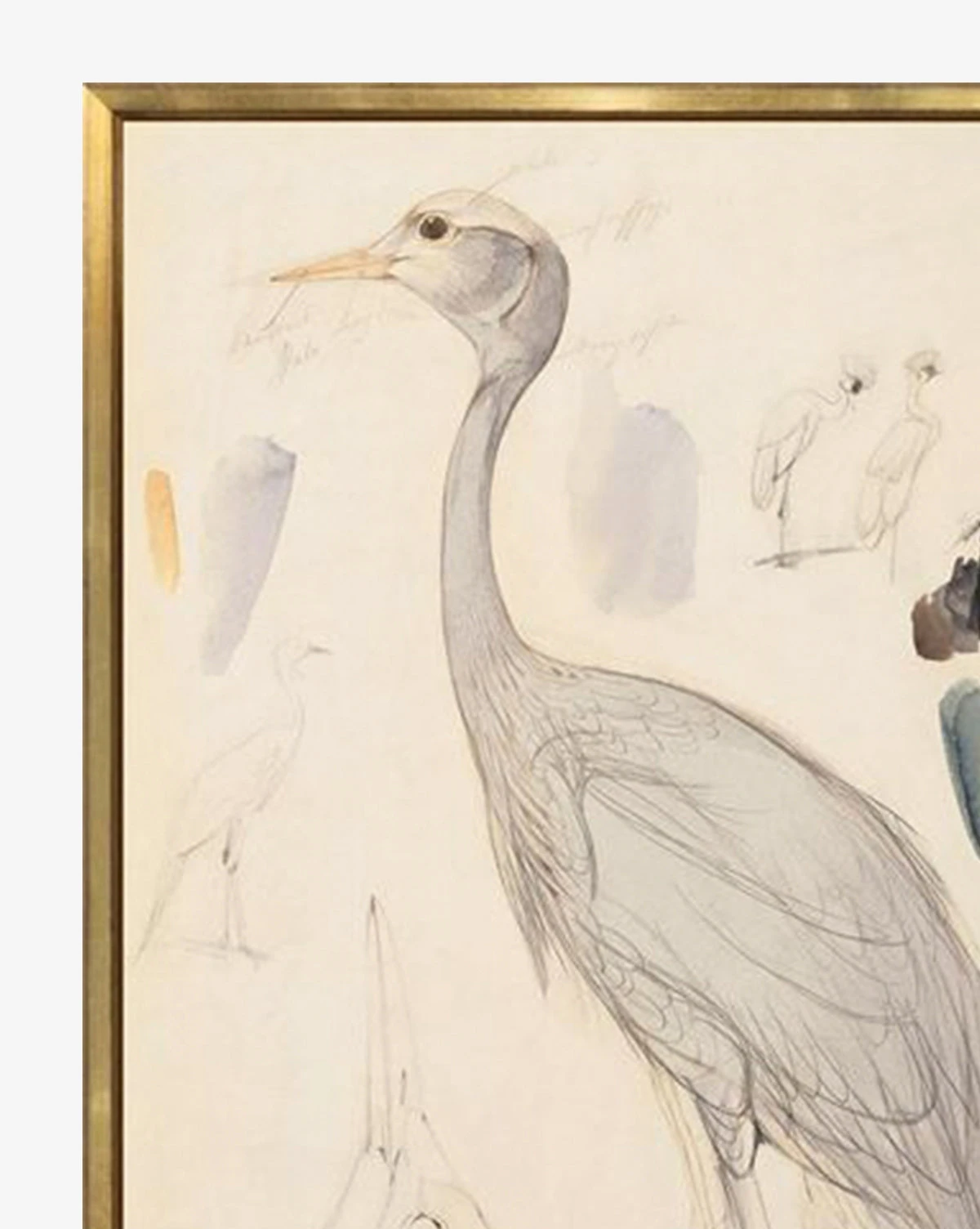 Standing Crane 4 Standing Crane - Image 2