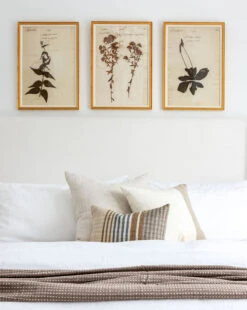 Margaret Stripe Pillow Cover -Bloomingville Shop beck pines5 final12 f7e5e14f 8af6 421d bc47 c3d3488faaa0